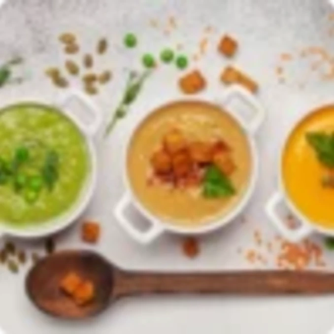 Curabitur eu purus ac nunc consequat vehicula