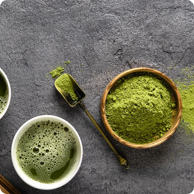 Etiam sed sollicitudin nunc volutpat