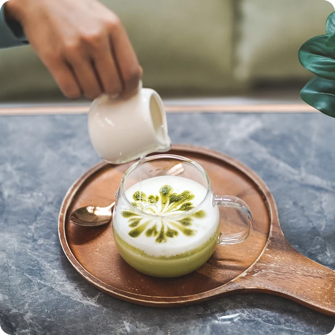 Pellentesque porttitor